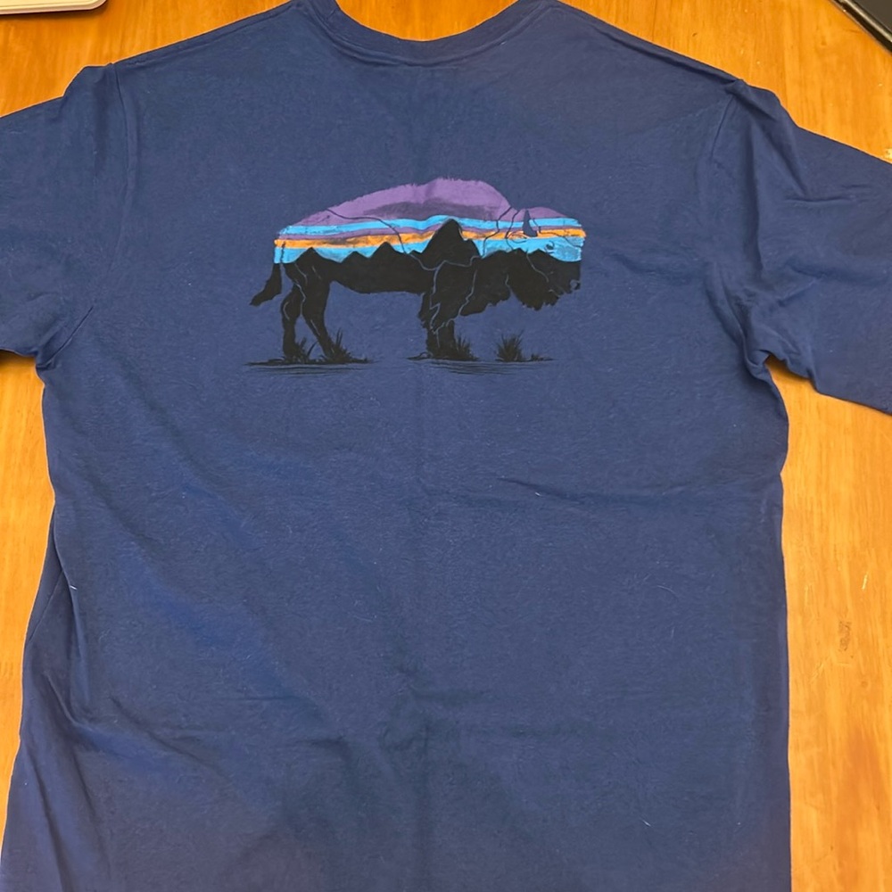 Men’s Patagonia tshirts